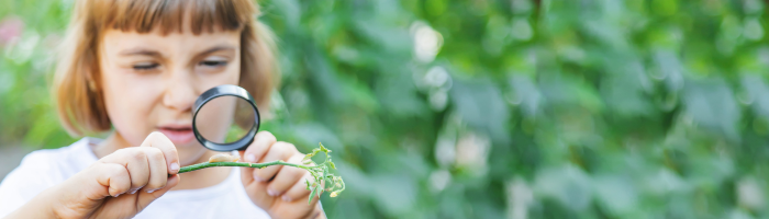 2025 11 15 Umwelttag