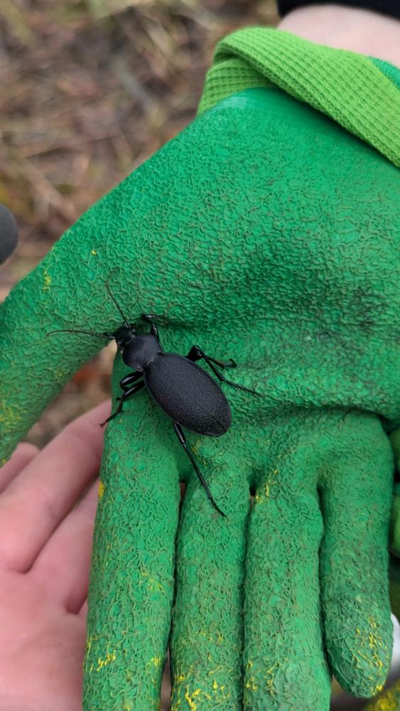 PXL20241018084404809RAW-01COVER