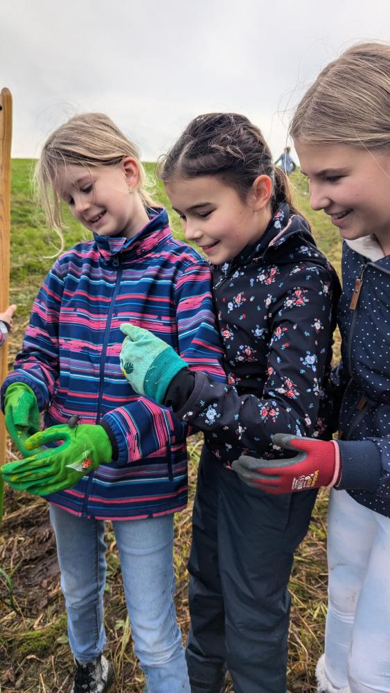 PXL20241018084425696RAW-01COVER