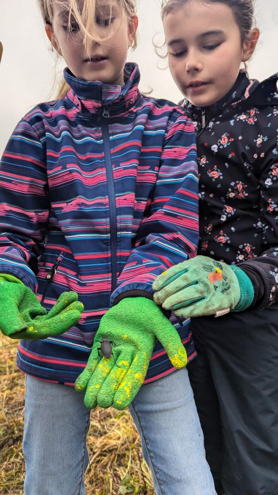 PXL20241018084438986RAW-01COVER