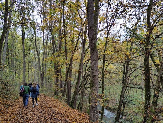 2024-11-10-Schullandheim4