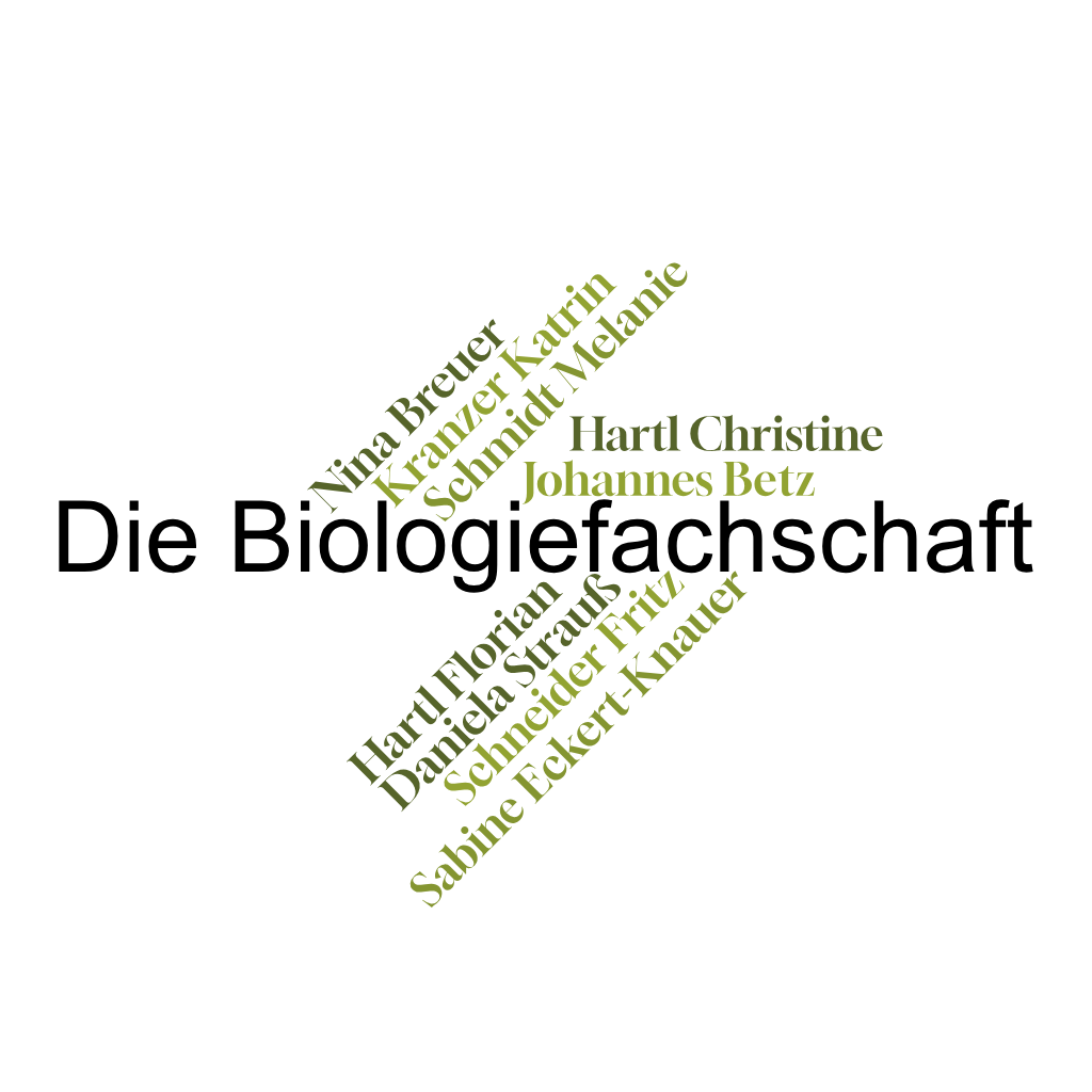 fachschaft 2024 wortwolke homepage