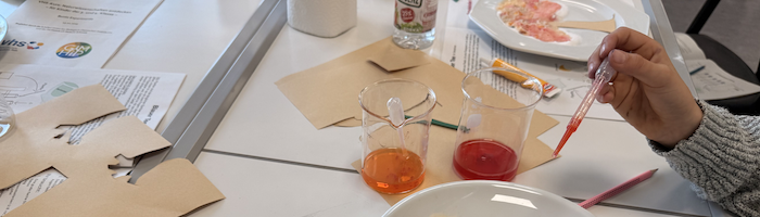 2026 01 23 BCP VHS Header