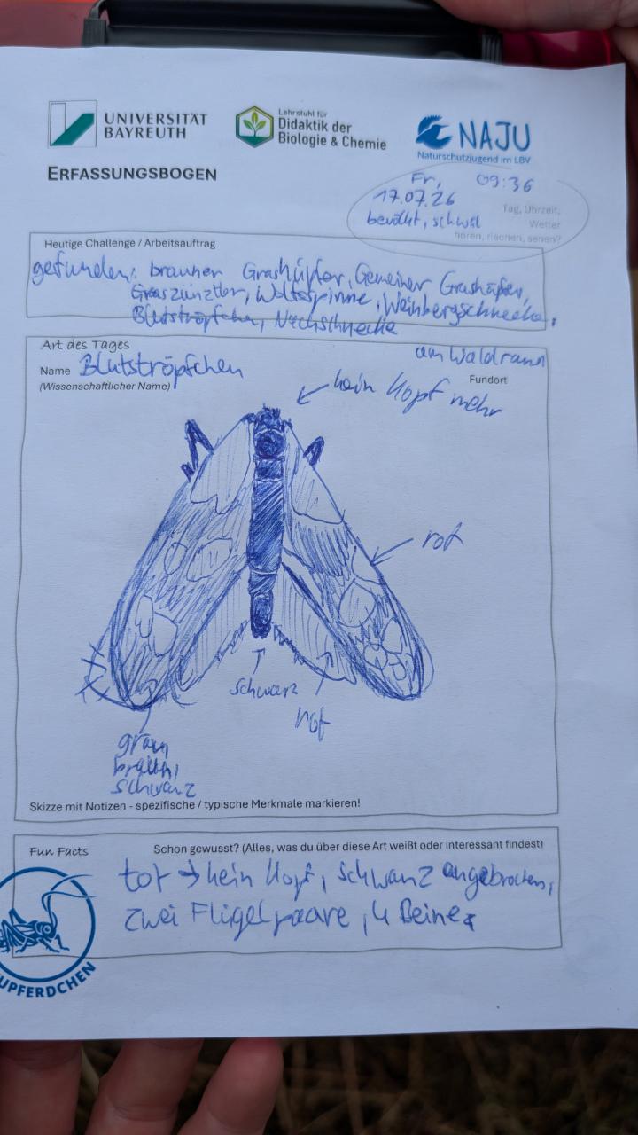 PXL20260717083213361-Kopie